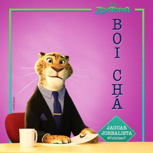 Cc5yuyCUYAAJIoI.jpg_large