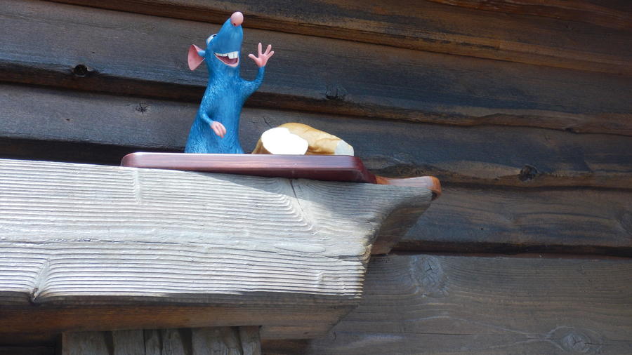 os-epcot-remys-ratatouille-hide-squeak-picture-005