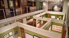 roqnaxizxk6f2ttgc28q