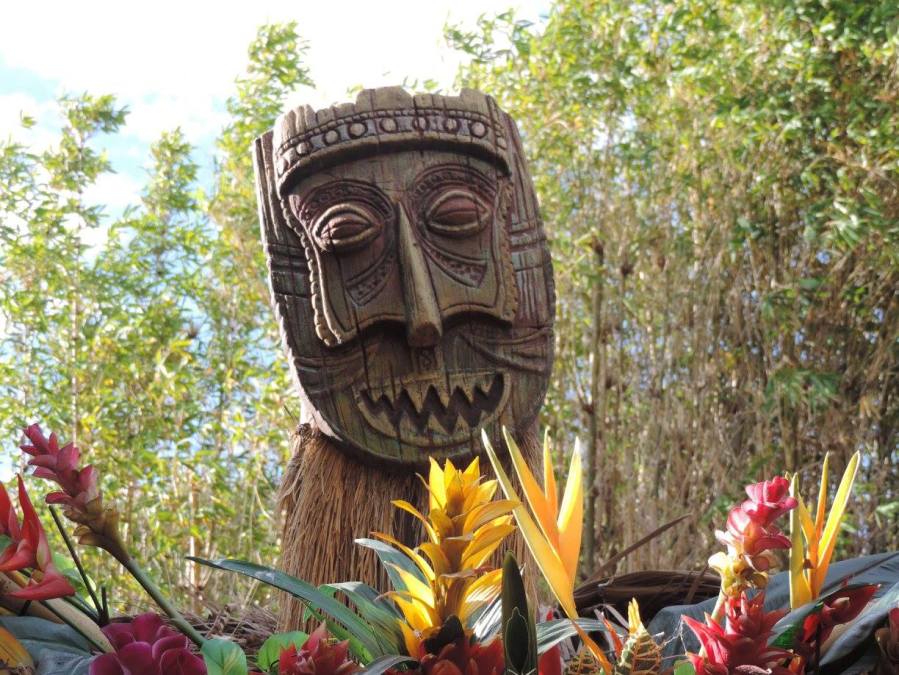 13517596_1150464018349399_4043643012553287391_o