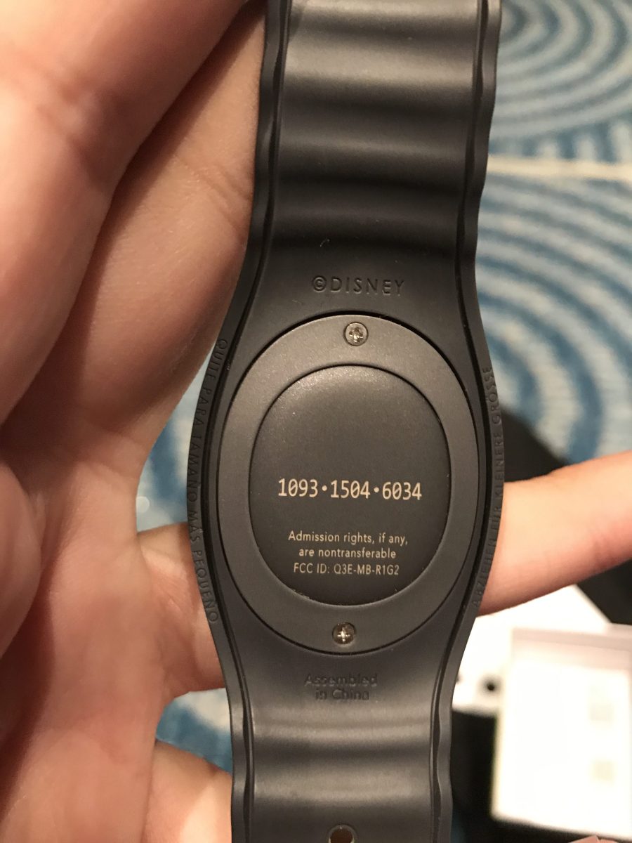 img_7980-1-e1479489910218