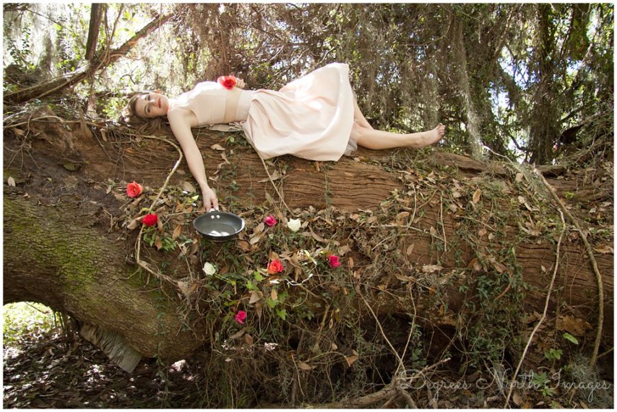 Up inspired engagement session by Degrees North Images