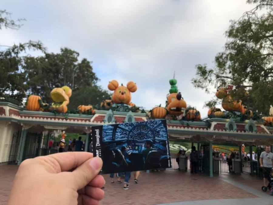 71153940_10214113256721031_8664319976707981312_n