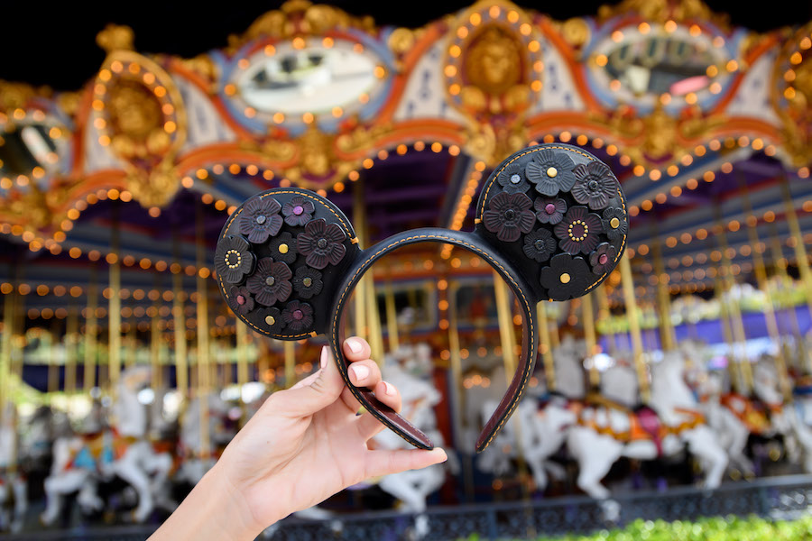 mickey-mouse-ears-special-edition-disney-7