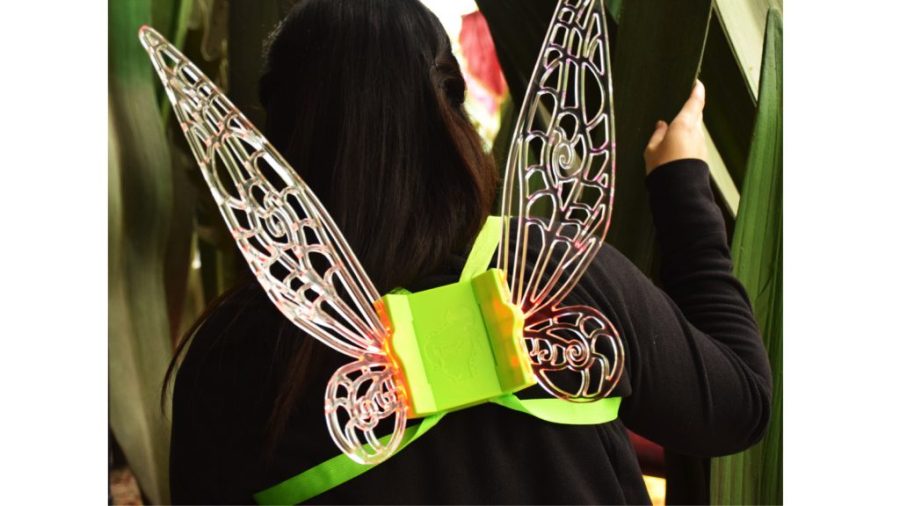 tinkerbell-wings-disney-1